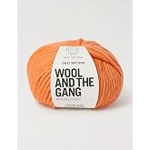 Knitting Wool and the Gang Crazy Sexy Wool - Chunky Merino Plain Crochet Yarn - Paradise Peach