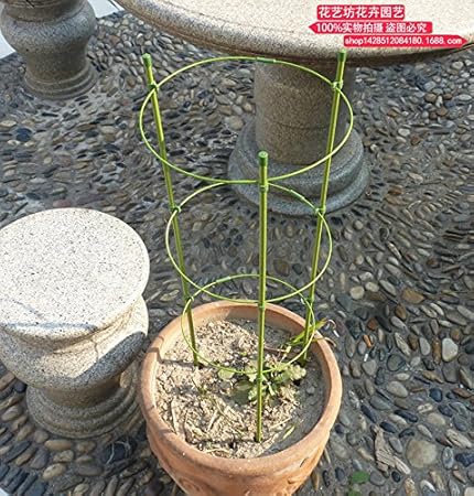Jaula de cultivo de plantas, 1 anillo de soporte para plantas ...