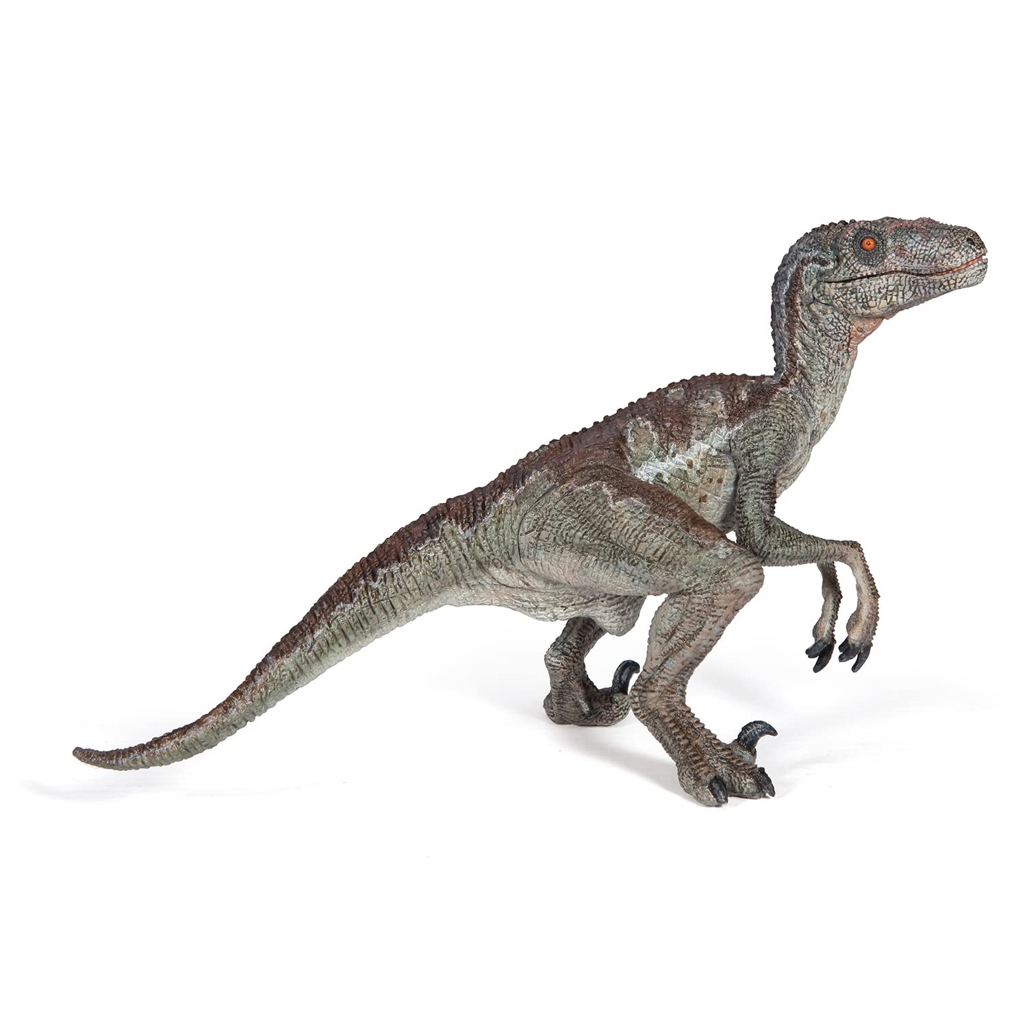 Papo - Realistic Velociraptor Dinosaur Figure - Ages 3+ - Cretaceous Collection - Educational Play Carnivorous Dinosaur - Gift Idea Toy for Girls and Boys - 9.8 Cm X 7 Cm X 9.5 Cm