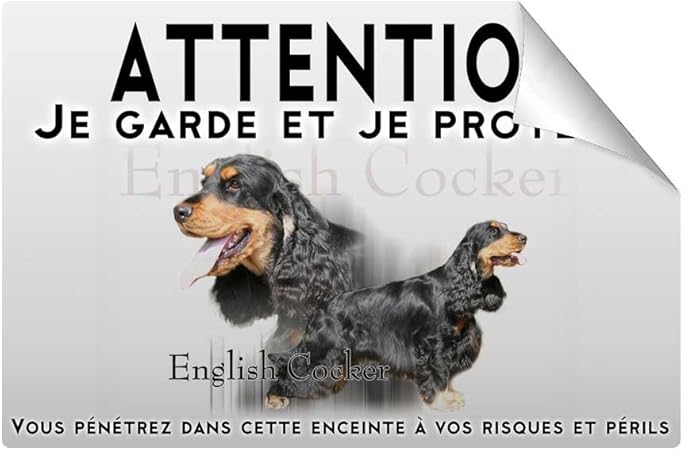 Stickers Attention Au Chien Cocker Anglais Noir Et Feu