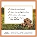 Instinct Grain Free with Chicken Meal & Cranberries Natural Oven-Baked Biscuit Dog Treats by Nature's Variety, 20 oz.