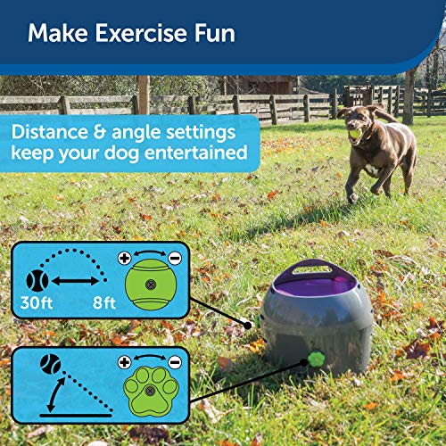 PetSafe Automatic Tennis Ball Launcher Interactive Dog Ball Thrower