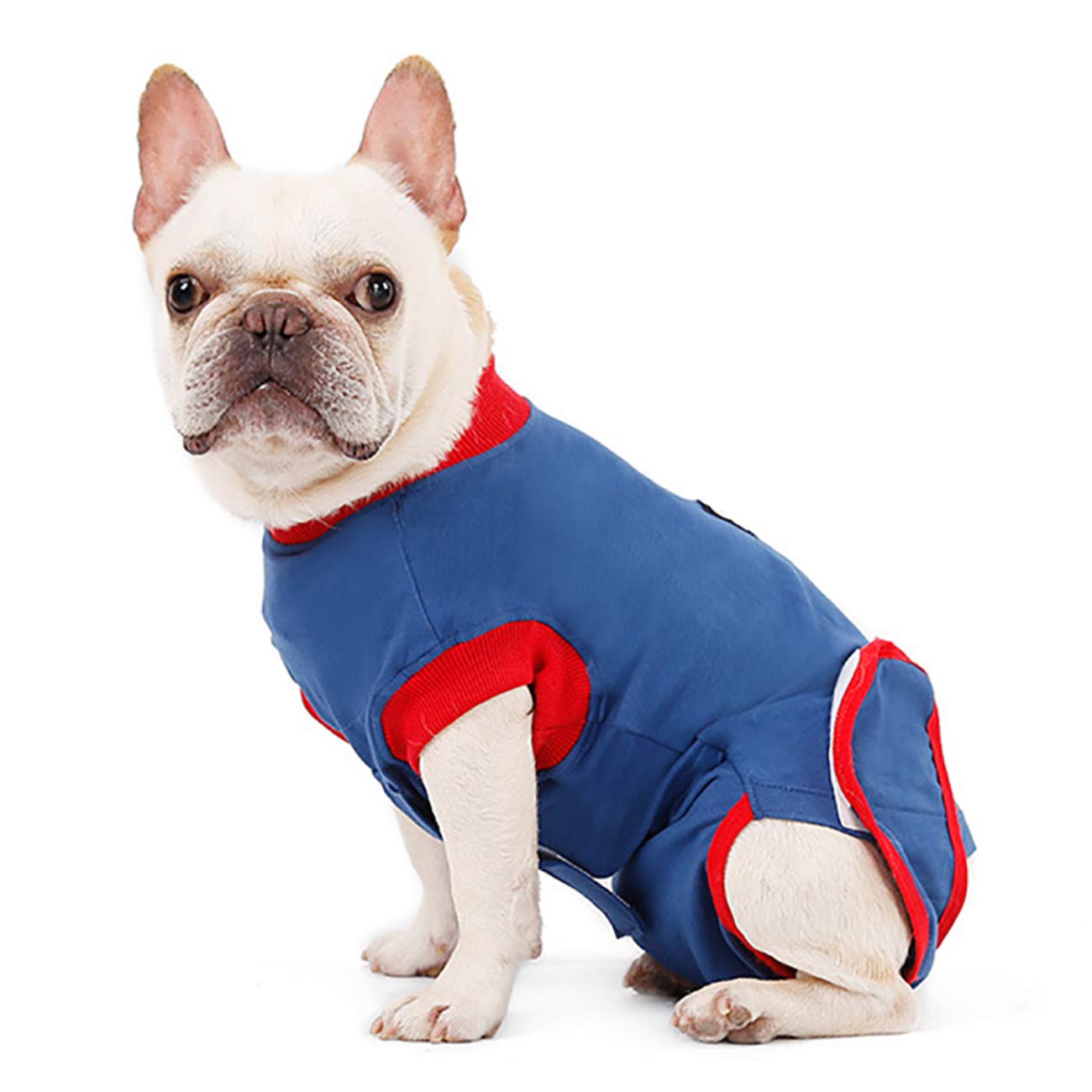 post operative protection shirt for dogs