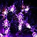 Joomer 20 LED Spider Halloween String Lights, Purple