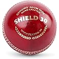 SG Club Cricket Ball Leather(Red) Standard Size