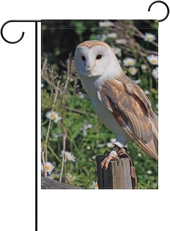 Amazon Com Montoj Barn Owl Tie On Deadman Front Yard Flag Double