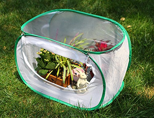 Insect and Butterfly Habitat Terrarium Pop-up - 23.6 Inches Tall (White)