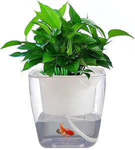Self Watering Planter Garden, Hydroponics Growing System Flower Pot, Gardening Starter Kit Small Fish Tank, Best Gift Set for Women and Kid, Seeds Not Included, Large Size