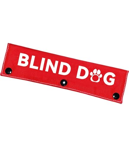 Blinden-Hinweis-Hundeleinenhülle Mit Aufschrift: 'Careful I'm Blind Do Not Spook' – Witziges & Praktisches Hundezubehör Als Geschenk