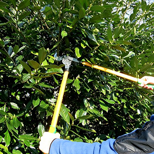 GRÜNTEK Getriebe-Astschere T-REX 765 mm, scharfe Bypass Baumschere, 2-fach höhere Kraftübertragung dank Doppel-GEAR… – Bild 7