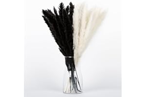 Beige White and Black Pampas Grass Bouquet 30PCS(White 15PCS,Black 15PCS) XMFAYUAN Reed Grass,Dried Flowers,Colorful Pampas Grass Dried Plant Set for Home Decor and Gifting