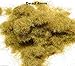 WWS Dead 4mm Mix Model Basing Static Grass 10g G,O,HO/OO,TT,N.Z Wargames