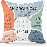 ZsaTuiy Counseling Office Must Haves Throw Pillow Cover-Decorative Throw Pillows-Anxiety Relief Throw Pillow Cover Decor for Therapy Office School Counselor Decor-I am Grounded
