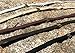 Resco Professional Cordo-Hyde Dog Show Lead, 3/16-Inch Wide x 56-inch long, Black