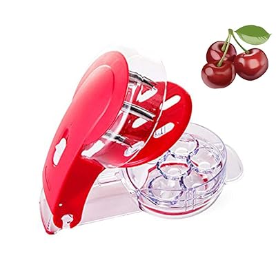 Buy Yillsen Cherry Pitter Stoner Olive Tool 6 Cherries Seed Remover Red Online In Canada B07s1jhgpj