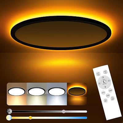 slochi Dimmable Ceiling Light 24W Remote 3000-6500K Night Light 1800K Black