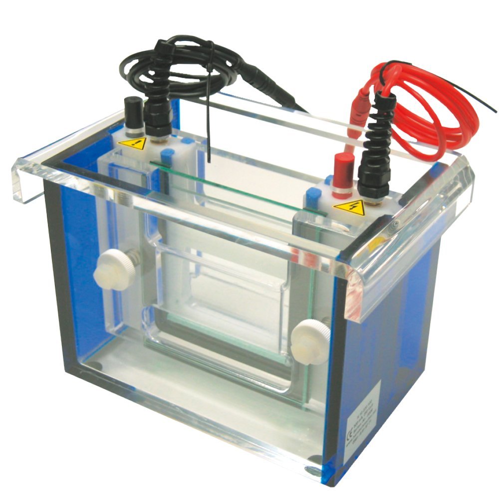 Neolab 7 0143 Accessories To Seven 0141, Comb, 1 mm, 10 Teeth, 5.3 mm, volume 65 µl