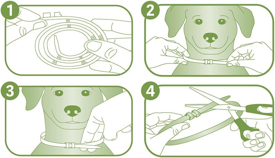 natural care flea and tick collar