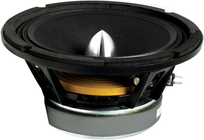 8 inch 100 watt speaker