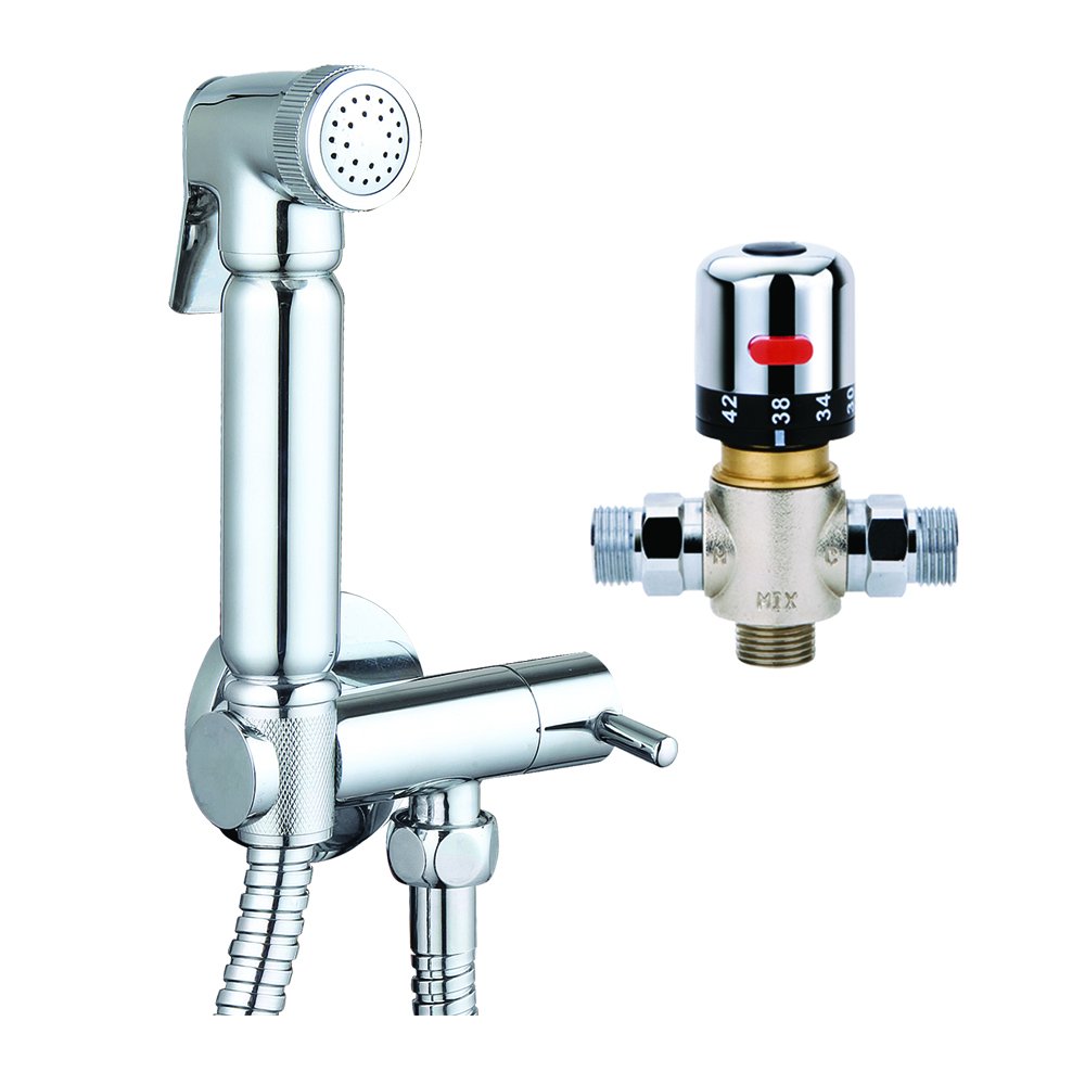 JAXI JAXI Jaxikit Luxury Bidet Set, Silver