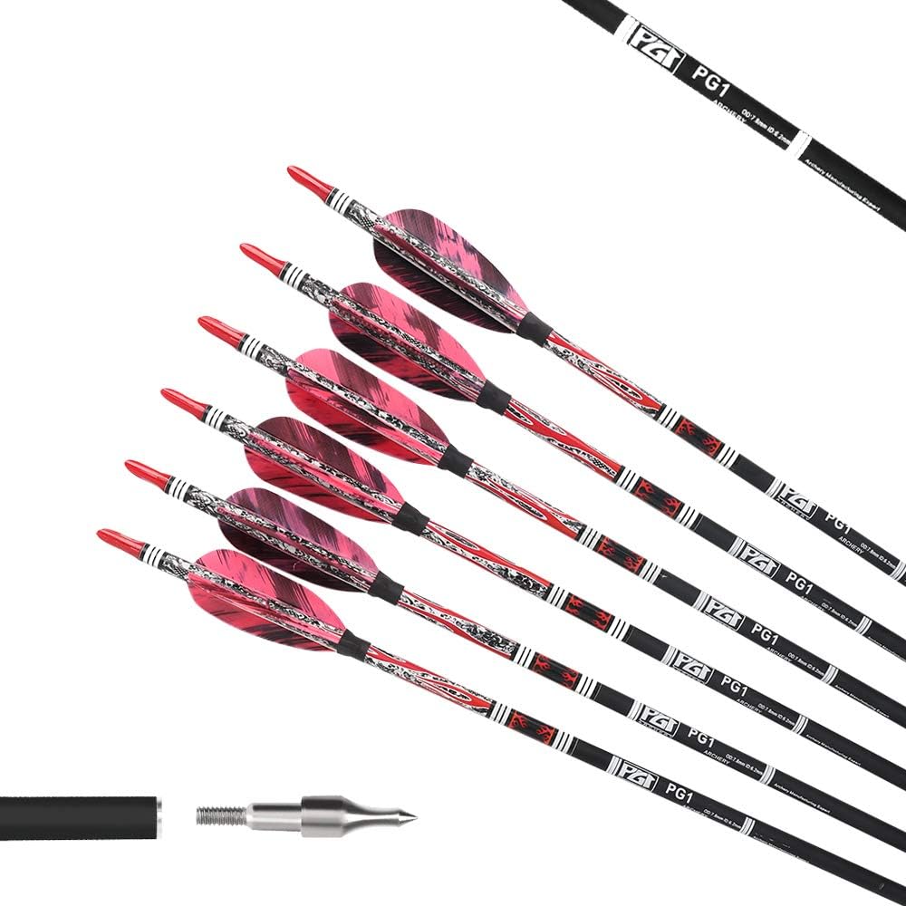 PG1ARCHERY 30 Inch Archery Targeting Arrows Carbon Practice Hunting Arrow with 3" Turkey Feathers Fletching Replacement Tips for Recurve & Compound Bow, 6 Pack Purple : Sports & Outdoors