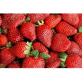 Cream Strawberry Seeds for Planting (Akihime Variety), 2000+ Heirloom Non-GMO Seeds, Super Sweet &amp; Creamy Flavor, Big, Juicy, Sweet Strawberries, Perfect for Home Garden, Fresh Gourmet Eating