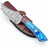 W Trading Handmade Damascus Steel Hunting Knife with Blue wood & Rosewood Handle, 9 Inch Blade, Leather Sheath, for Hiking, Camping & Survival