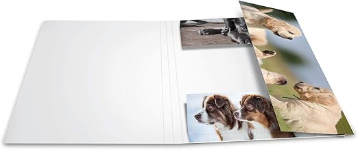 Herma 19218 Sammelmappe Din A3 Tiere Hunde Aus Stabilem Karton Mit Bedruckten Innenklappen Gummizugmappe Eckspanner Mappe 1 Zeichenmappe Fur Kinder Amazon De Burobedarf Schreibwaren