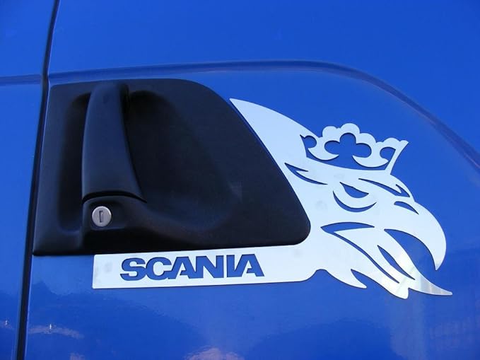2x Polished Stainless Steel Door Panel Decorations for SCANIA R/G/P