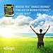 330g (12oz) 3-In-1 Post Workout 7G BCAA Powder by Natrogix, 3G Creatine and a 2:1:1 ratio of Branched Chain Aminos for Muscle Growth, Faster Recovery and Prevent Muscle Soreness. Great Taste. Low Carb