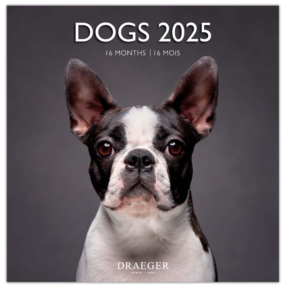 DRAEGER PARIS 1886 - Large Wall Calendar 29 x 29 cm 2025-7 Languages - September 2024 - December 2025 - Various Themes: Dogs - 12 Photos - FSC Paper - Note Appointments & Birthdays