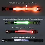KOSKILL Light Up Dog Collar USB Rechargeable Waterproof Orange L view 6