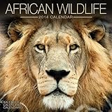 African Wildlife 2014 Calendar by 