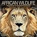 African Wildlife 2014 Calendar by 