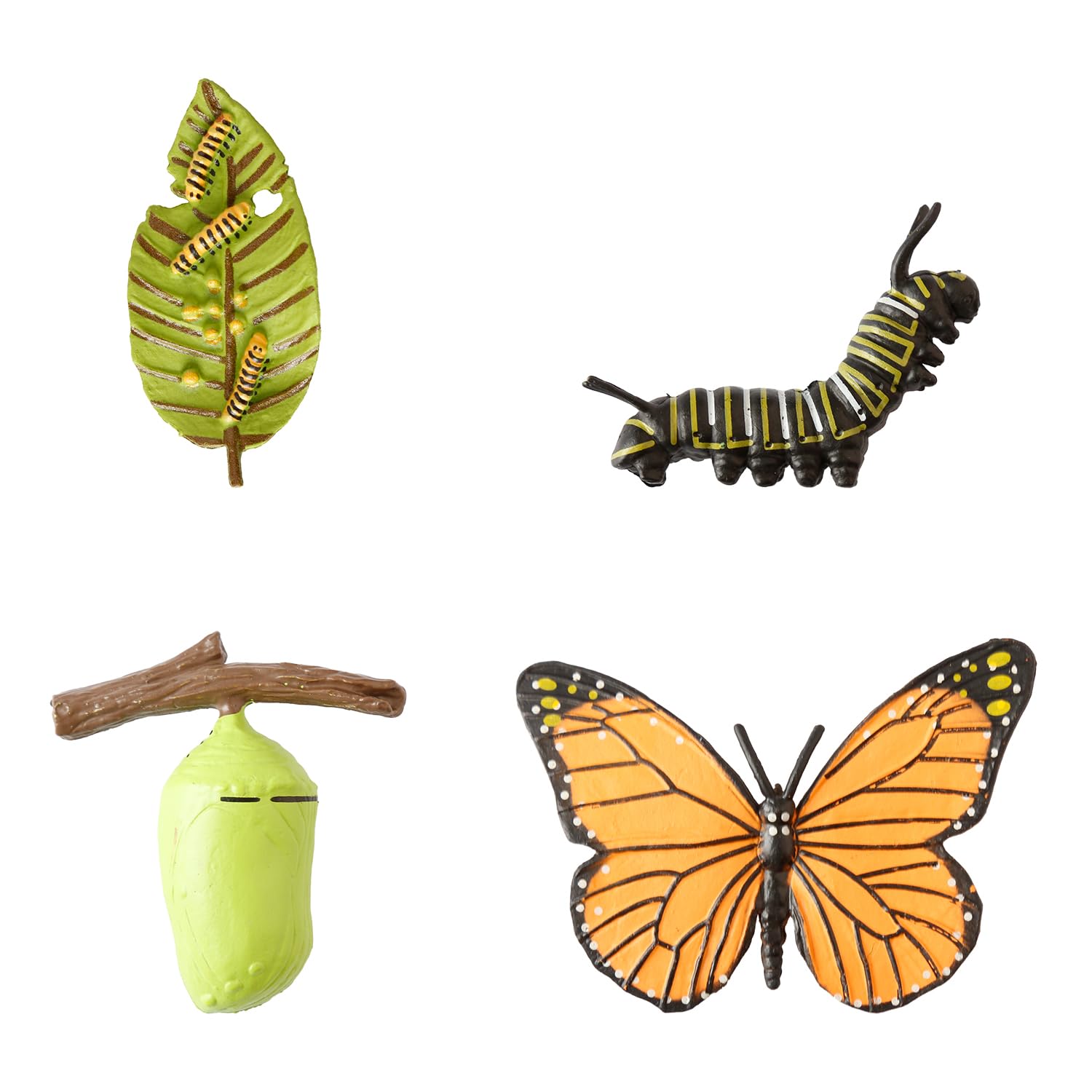 Tabanzhe Insect Figurines-4PCS Butterfly Life Cycle Growth Model Realistic Animal Figures Butterflies Cycle Stage Model Preschool Learning Teaching Tools