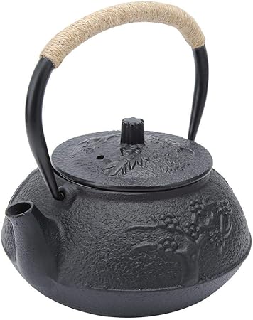 その後 懇願する 高尚な 鉄瓶 お茶 Mudanzasvallejo Com