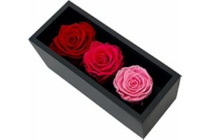 KHIVA Preserved Roses in Wood Box, 3 Red/Pink Birthday Flowers for Delivery Prime, Everlasting Flowers, Natural Forever Roses That Last For Years, Eternal Rose, Gift for Mom