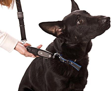 dog e walk ultrasonic trainer