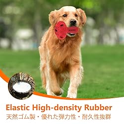SCHITEC Dog Chew Toy for Large & Medium