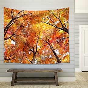 Maple Tree in Autumn - Fabric Wall Tapestry Home Decor - 51x60 inches