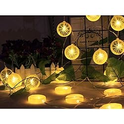Fruit String Lights Battery Powered Indoor Outdoor