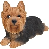 Hi-Line Gift Ltd Yorkshire Terrier Resin Dog Lying Down Statue