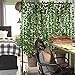 NAYARD Ivy Garland Artificial Greenery Garland 12 Strands 82 Feet Fake Ivy Vines Silk Leaves Garlands Decorations for Wedding Party Garden Water Pipe Fence Outdoor Indoor Wall (Ivy Garland)