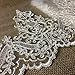 Bridal Veil Lace Trim Gorgeous Elegant Alencon Embroidered Corded Sequined Mesh, 8