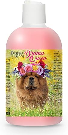 shampoo for chow chow