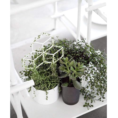 14.96 Inch Metal Plant Trellis Ladder - Rustproof Indoor Climbing Plant Support For Pothos, Hoya, Ivy