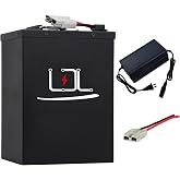 BtrPower 60 V 20AH 25AH 30AH 35AH 40AH 50AH Ebike Battery Pack | High Capacity Ebike Battery Pack for 0-3000W(60V 40AH)