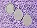 10 Pack - CleverDelights 30x40mm Oval Pendant Trays - Mix Pack - Pendant Blanks Settings Photo Jewelry