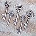 50 Key Bottle Openers, Assorted Vintage Skeleton Keys, Wedding Party Favors (50, Antique Copper)