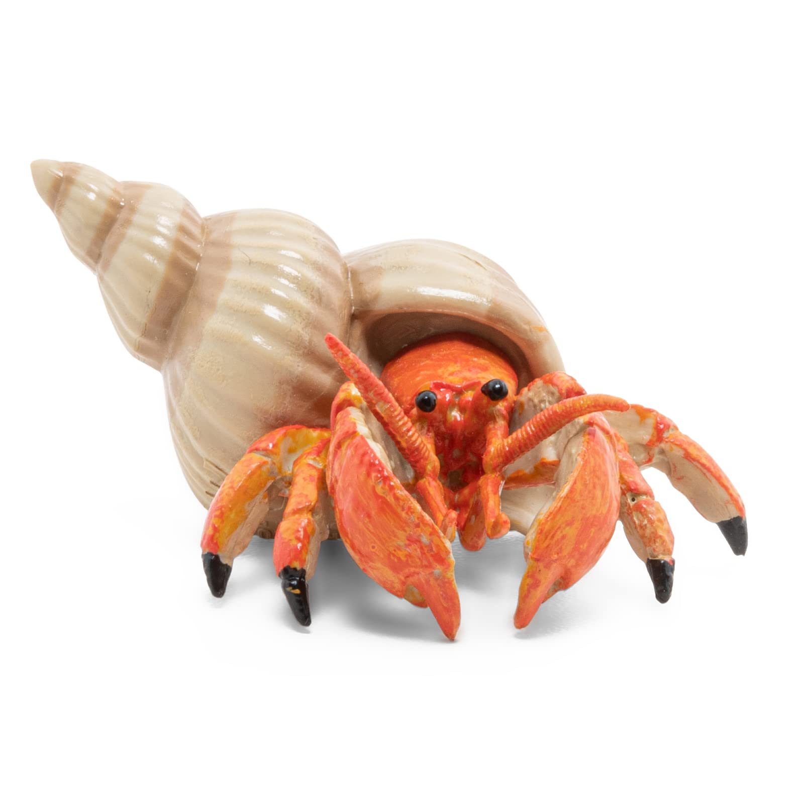 Papo - Realistic Hermit Crab Figure - Ages 3+ - Marine Life Collection - Educational Play Ocean Discovery - Gift Idea Toy for Girls and Boys